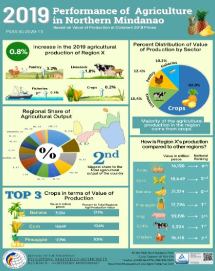 2019 Performance of Agricultural in Northern Mindanao