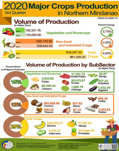 2020 Major Crops Production in Northern Mindanao