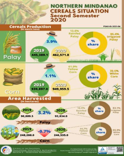 Northern Mindanao 2020 Cereals Situation Second Semester