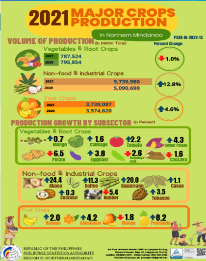 2021 Major Crops Production in Northern Mindanao