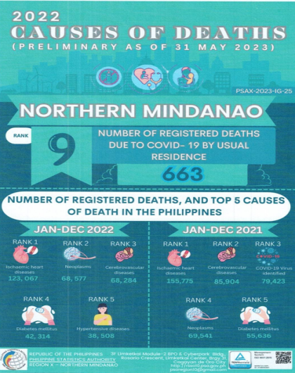 2022 Causes of Deaths (Preliminary as of 31 May 2023)