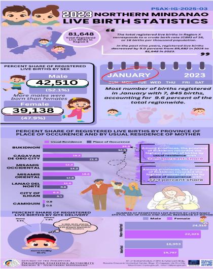 2023 Northern Mindanao Live Birth Statistics