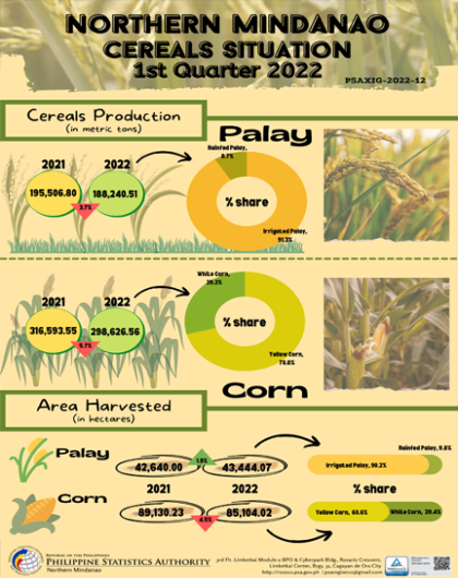 Northern Mindanao Cereals Situation 1st Quarter 2022