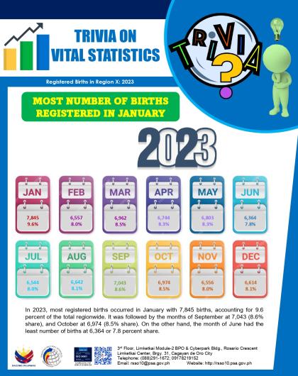 Registered Live Births in Region X, 2023